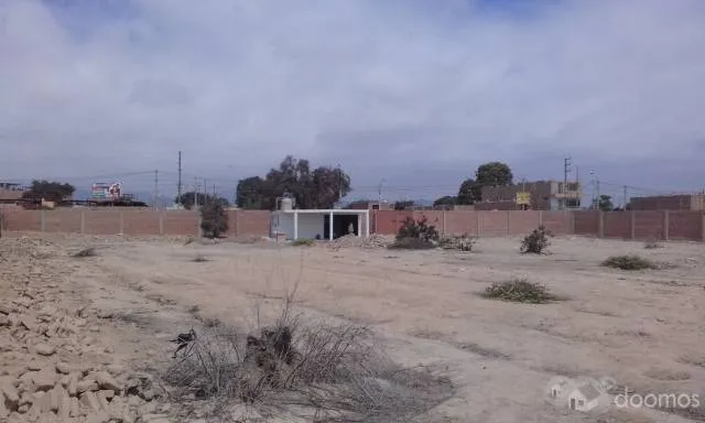 VENTA DE TERRENO URBANO EN CHINCHA - 3