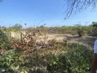 PARCA - TERRENO AGRICOLA DE 1600 M2