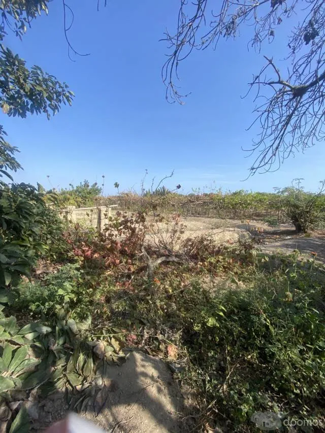 PARCA - TERRENO AGRICOLA DE 1600 M2 — foto 2
