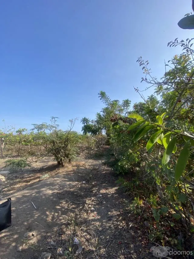 PARCA - TERRENO AGRICOLA DE 1600 M2 — foto 4