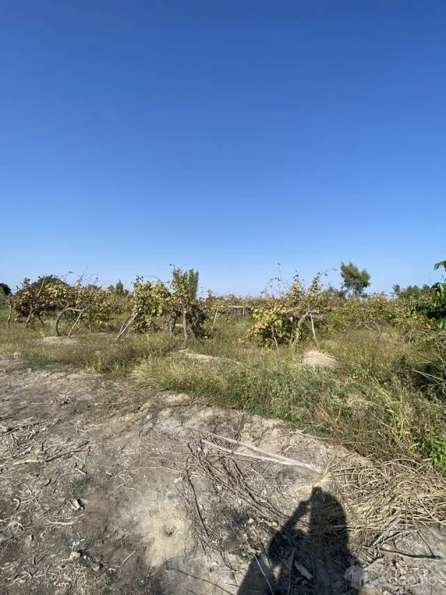 TERRENO PARA RANCHO 6900 M2 — foto 4