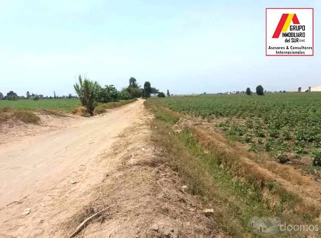 VENTA DE TERRENO PARA CASAS DE CAMPO Y PLAYA IDEAL PARA CABALLERIZAS DE 4.17 Has EN CAUCATO PISCO - 3