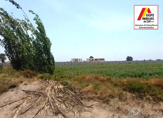 VENTA DE TERRENO PARA CASAS DE CAMPO Y PLAYA IDEAL PARA CABALLERIZAS DE 4.17 Has EN CAUCATO PISCO - 4