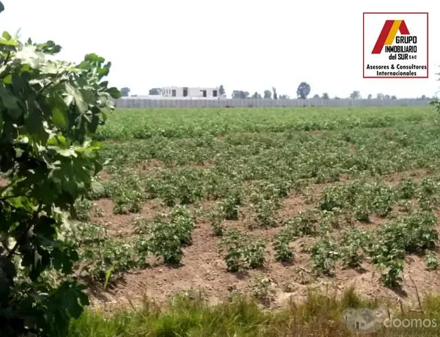 VENTA DE TERRENO PARA CASAS DE CAMPO Y PLAYA IDEAL PARA CABALLERIZAS DE 4.17 Has EN CAUCATO PISCO - 5