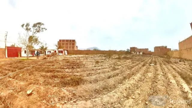 ¡Carabayllo, Lima! Se vende terreno comercial de 3025.68 m2, ubicado en la avenida principal José Sacos Rojas — foto 6