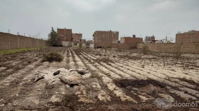 ¡Carabayllo, Lima! Se vende terreno comercial de 3025.68 m2, ubicado en la avenida principal José Sacos Rojas — foto 10