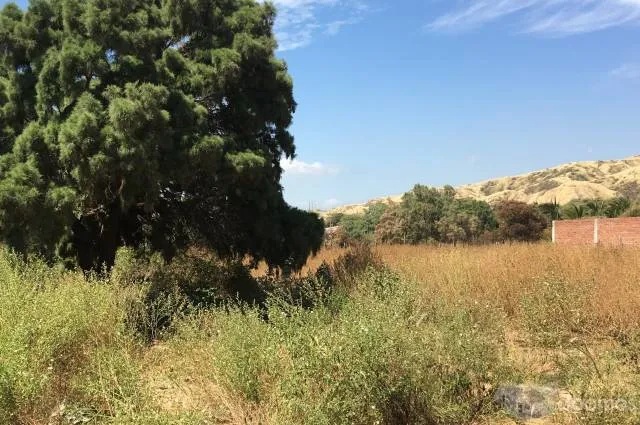 PROYECTO / INVERSIÓN EN MÁNCORA - 4