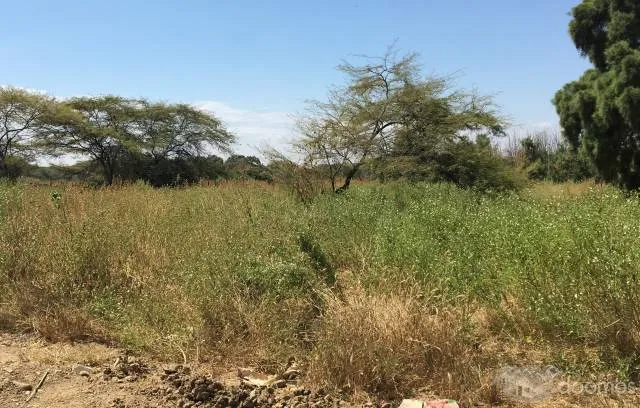 PROYECTO / INVERSIÓN EN MÁNCORA - 5