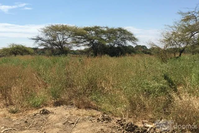 PROYECTO / INVERSIÓN EN MÁNCORA - 6