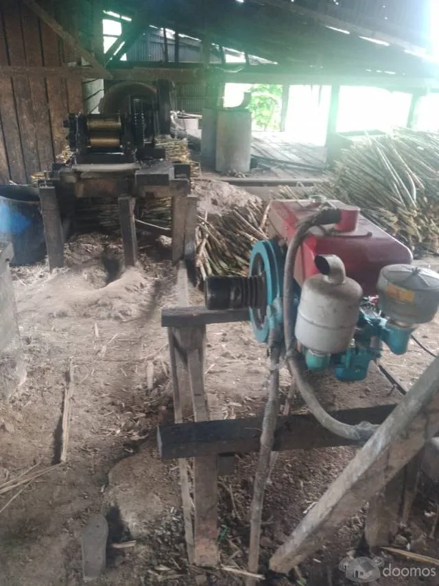 Venta de terreno 388 Has - 3