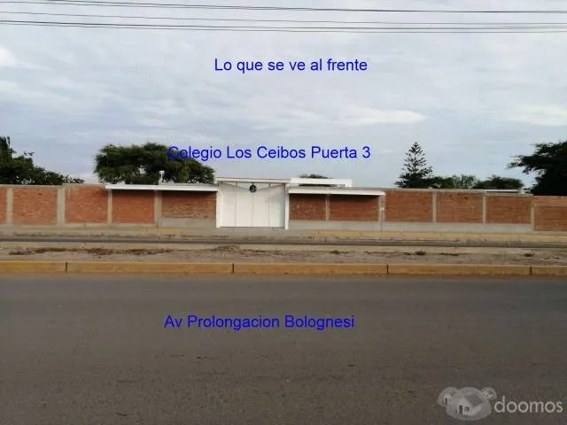 Se vende terreno de 281.80 m2 en prolongacion Bolognesi frente al colegio los ceibos - 3