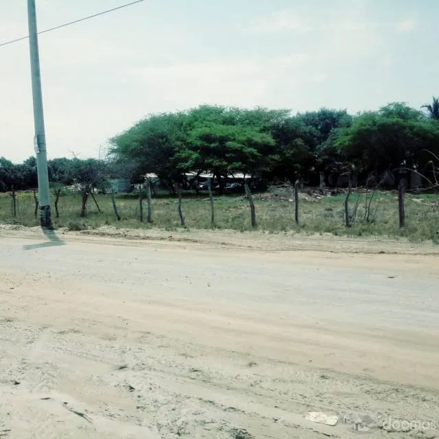 OPORTUNIDAD INVIERTE EN TERRENO DE PLAYA 2DA FILA COLAN - 4