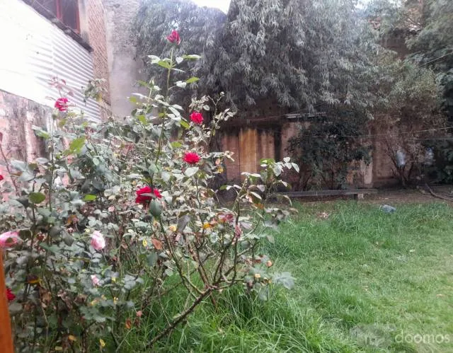 Alquiler de hermosa Casa en zona centrica en Huaraz Para Vivienda O Oficina - 7