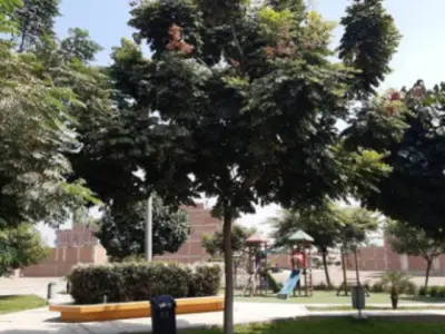 Venta de Terreno Residencial en Carabayllo - Vista a Parque