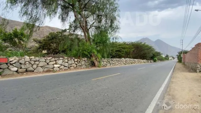 TERRENO VENTA SIMBAL - PEDREGAL - 3
