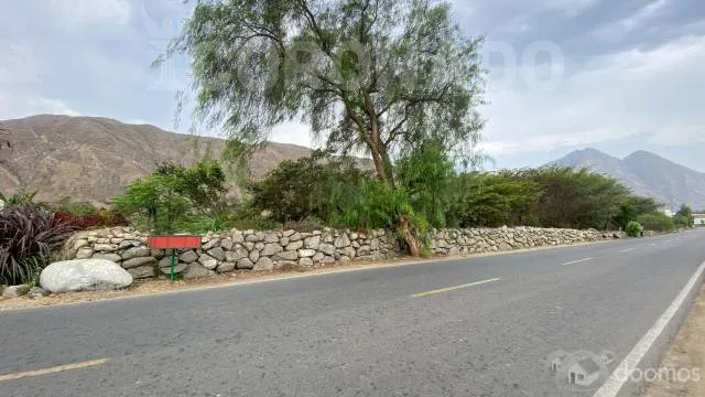 TERRENO VENTA SIMBAL - PEDREGAL - 6