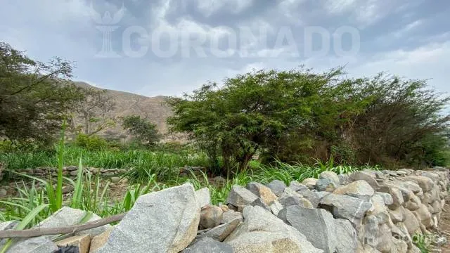 TERRENO VENTA SIMBAL - PEDREGAL - 7