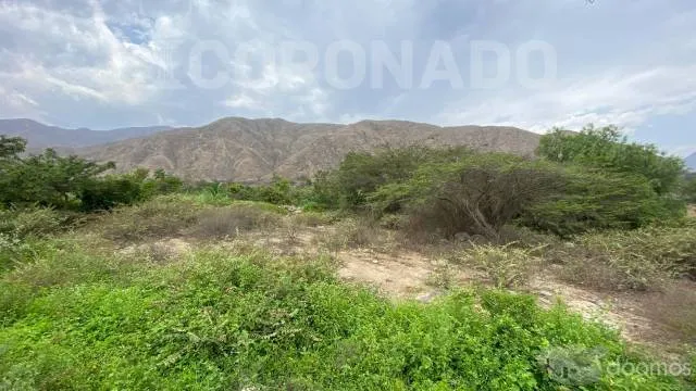 TERRENO VENTA SIMBAL - PEDREGAL - 8