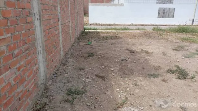 VENTA DE TERRENO EN LAMBAYEQUE - 7