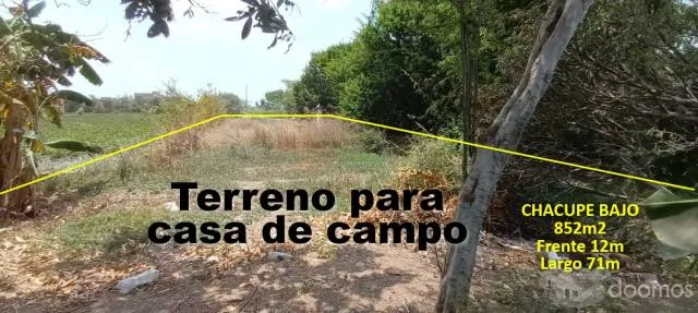 Vendo #terreno 852m2 en #Chacupe Bajo Ideal para casa de campo - 2