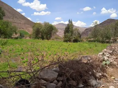 venta de terreno sector Yanacona_ Chicon