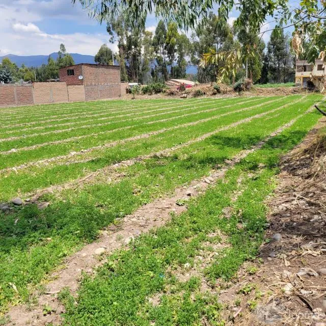 VENTA DE TERRENO SAN AGUSTIN DE CAJAS - 1