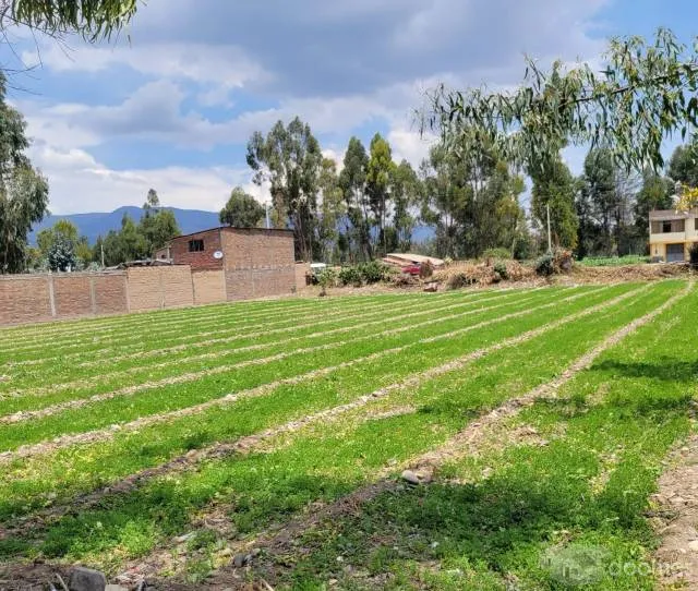 VENTA DE TERRENO SAN AGUSTIN DE CAJAS - 3