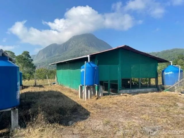 Se vende Proyecto FINCA, de 42 hectareas - 4