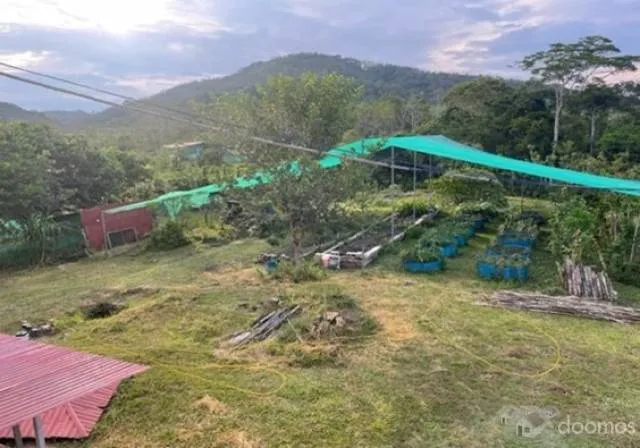 Se vende Proyecto FINCA, de 42 hectareas - 5