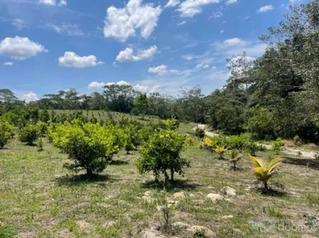 Se vende Proyecto FINCA, de 42 hectareas - 8