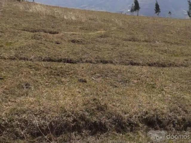 Venta terreno rustico de 56 Has y perimetro 7780m - 3