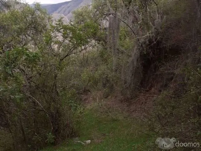 Venta terreno rustico de 56 Has y perimetro 7780m - 6
