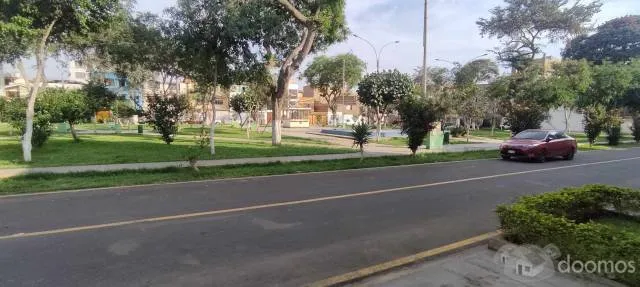 Home Office de 84 m2 ubicado en Los Olivos frente a un parque y a la espalda del Óvalo Huandoy. — foto 5