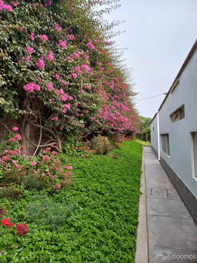 Venta Casa de Campo: Comodidad, Naturaleza y Espacios Acogedores en Pachacamac — foto 5