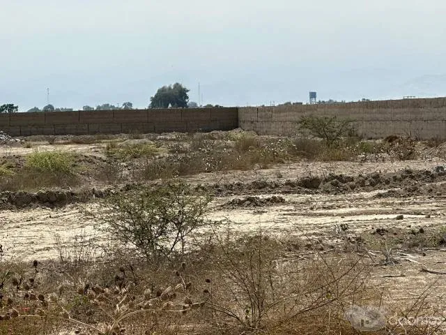 Venta de terreno El Carmen - 6070 m2 - 5