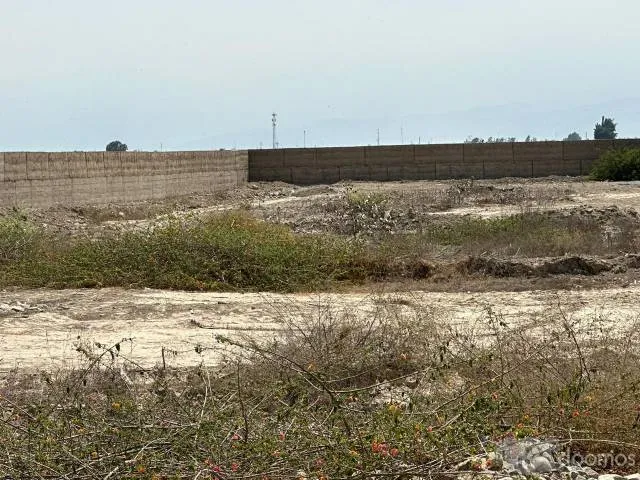 Venta de terreno El Carmen - 6070 m2 - 8