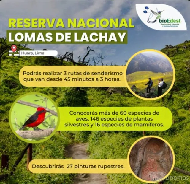 Lotes a Borde de Carretera Sayan - Huaral — foto 3