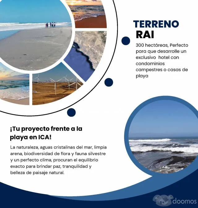 Terreno 300 Hás. Con 3 Km De Mar En Ica. Precio De Ocasión - 2