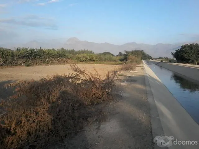 VENTA DE TERRENO AGRICOLA - 1