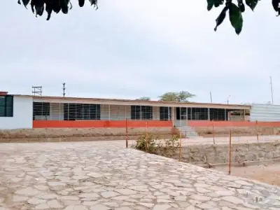 Miniatura 7