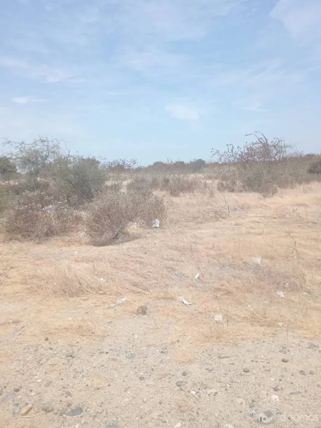 Venta de Terreno 6 Ha Carretera Piura Sullana — foto 5