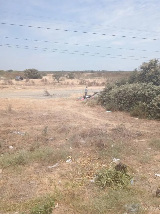 Venta de Terreno 6 Ha Carretera Piura Sullana — foto 7