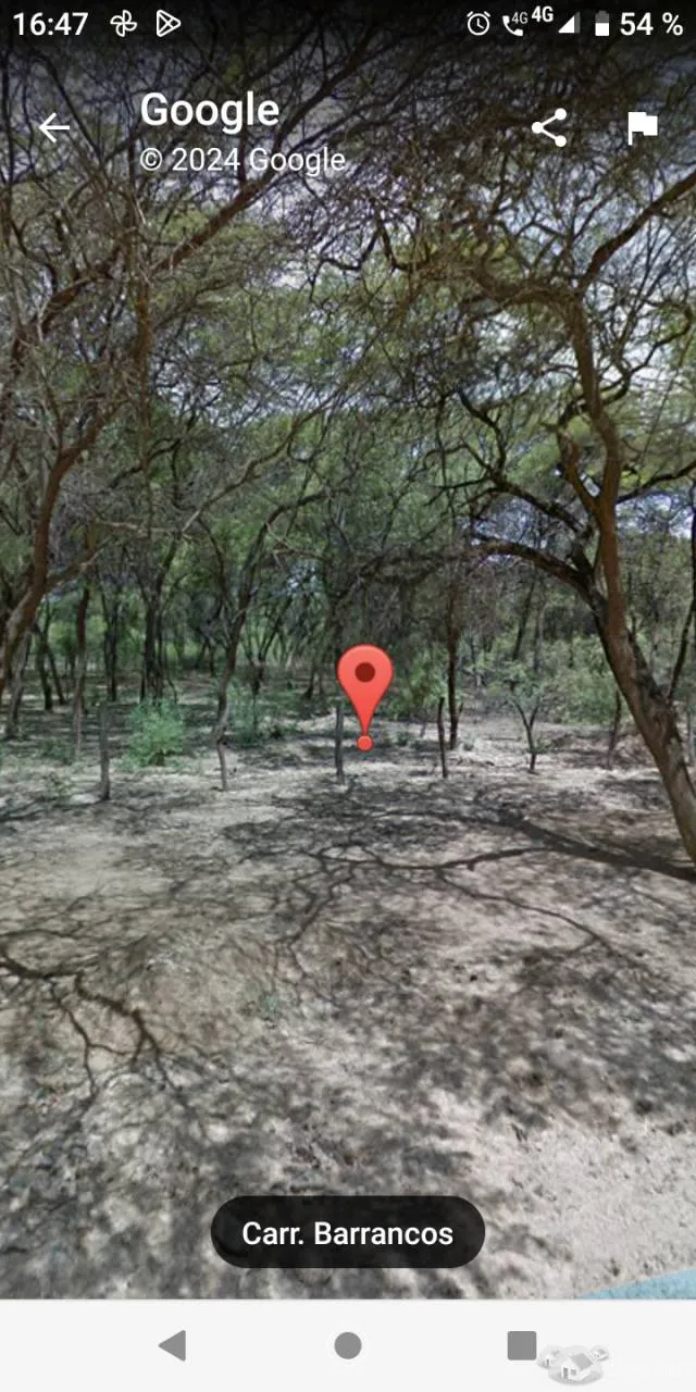 Venta de terreno de campo en Máncora 10000 m2. a S/. 45 * m2 - 5