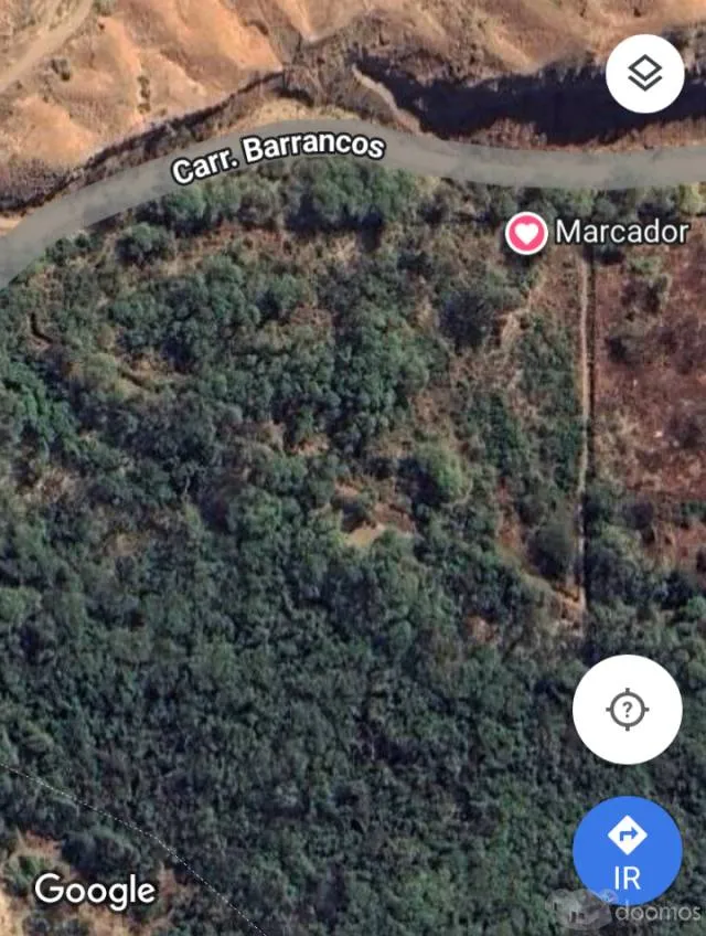 Venta de terreno de campo en Máncora 10000 m2. a S/. 45 * m2 - 6