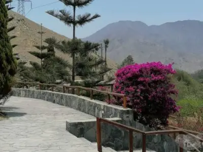 Venta de Lote - Pachacamac