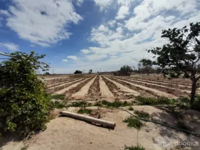 SE VENDE 3.6 Has. SECTOR LAS ANTILLAS-PARACAS
