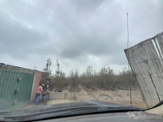 SE VENDE TERRENO DE 5 HAS. SECTOR LAS PALMAS - CHINCHA BAJA - 1