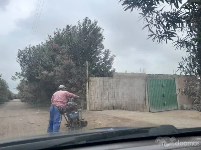SE VENDE TERRENO DE 5 HAS. SECTOR LAS PALMAS - CHINCHA BAJA - 6