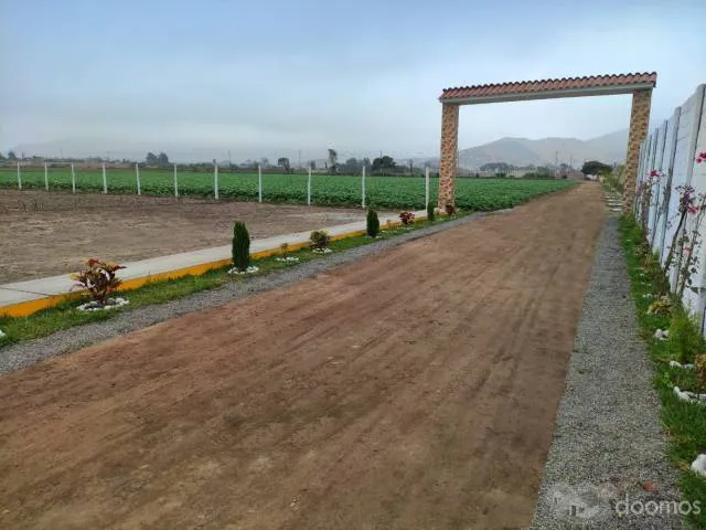 VENTA DE LOTE - HACIENDA CAMPO VERDE II ETAPA — foto 3