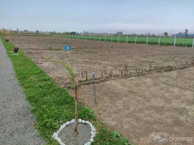 VENTA DE LOTE - HACIENDA CAMPO VERDE II ETAPA — foto 4
